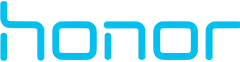 Ремонт роботов-пылесосов Honor
